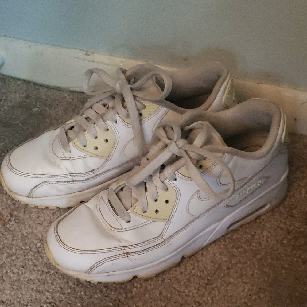 Nike Air Max Sneakers